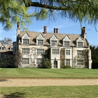 Snowdrops in Anglesey Abbey