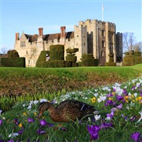 Snowdrops at Hever Castle & Canterbury