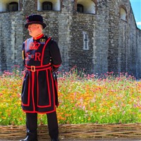 Windsor Castle & Tower of London