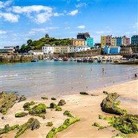 Tenby - Little Town of Fishes