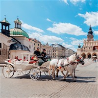 Auschwitz, Kraków & Wieliczka Salt Mines