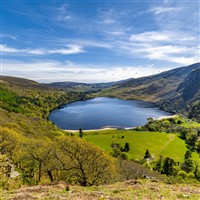 Ireland - Flavours of Enniscorthy