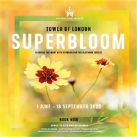 London - Tower of London & Superbloom